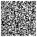 QR code with Precision Pulley Inc contacts