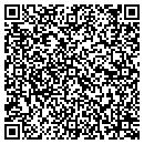 QR code with Professional Sorors contacts