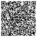 QR code with Colins contacts