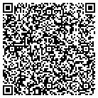 QR code with Pulltoy Transportation contacts