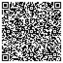 QR code with Precision Tours Inc contacts