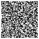 QR code with Pwnage Games contacts