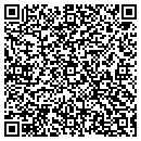 QR code with Costume Rental & Sales contacts