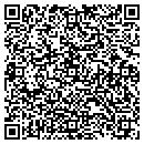 QR code with Crystal Connection contacts