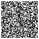 QR code with Premium Events Inc contacts