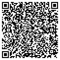 QR code with L G M N contacts