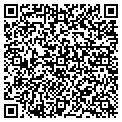 QR code with Studio contacts