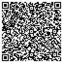 QR code with Cobra Technologies Inc contacts