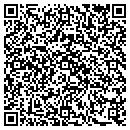QR code with Public Storage contacts