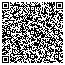 QR code with Public Storage contacts