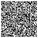 QR code with Precision Valet LLC contacts