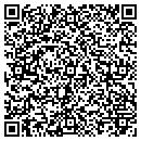 QR code with Capital Visa Service contacts