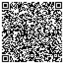 QR code with Blues Audio Services contacts