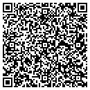 QR code with Consumer Electronics contacts