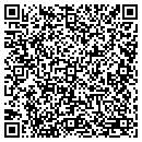 QR code with Pylon Solutions contacts