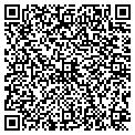 QR code with Shian contacts