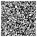 QR code with Premier Refinishing contacts