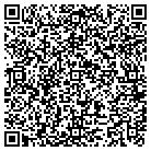 QR code with Punxsutawney Boiler Works contacts