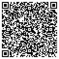 QR code with Island Pools contacts