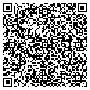 QR code with Precision Tri Works contacts