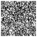 QR code with Pro Motor Shop contacts