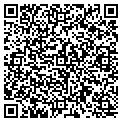 QR code with Pirtek contacts