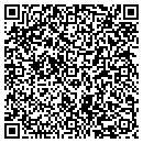 QR code with C D Connection Inc contacts