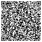 QR code with Purity Mobile Sanitizing contacts