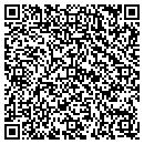 QR code with Pro Source One contacts