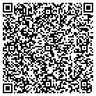 QR code with Pulsar Technologies Inc contacts