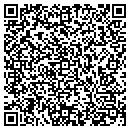 QR code with Putnam Services contacts
