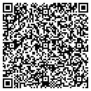 QR code with Pudding Stone Service contacts