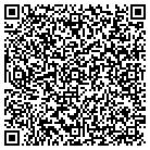 QR code with PulseCinema, Inc contacts