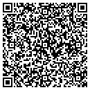 QR code with Pursenality contacts