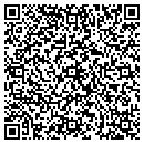 QR code with Chaney Robert E contacts