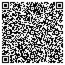 QR code with Punctum Studios contacts