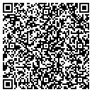 QR code with Catapult Systems contacts