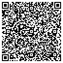QR code with Pulse Media Inc contacts