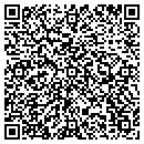 QR code with Blue Bay Imports LLC contacts