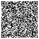 QR code with Ctsi Consulting Inc contacts