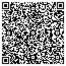 QR code with Project Echo contacts