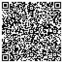 QR code with Public School 811 M contacts