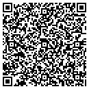 QR code with Babbitt Public Library contacts