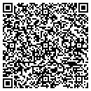 QR code with Professional Library contacts