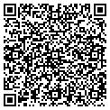 QR code with Ymca contacts