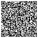 QR code with Project Amor contacts