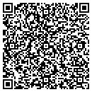QR code with Professional Mentoring contacts