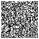 QR code with Ps 219 Annex contacts