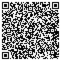 QR code with Shell contacts