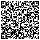 QR code with Psi Seminars contacts